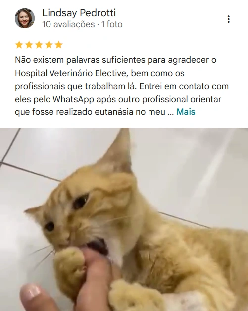 Avaliação real de tutor sobre o Elective
