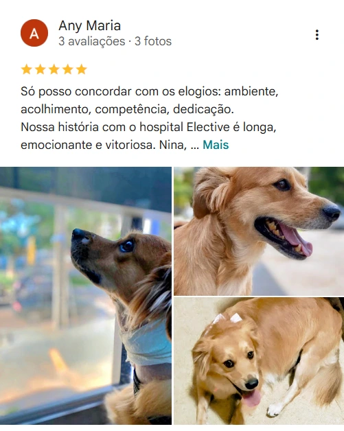 Avaliação real de tutor sobre o Elective