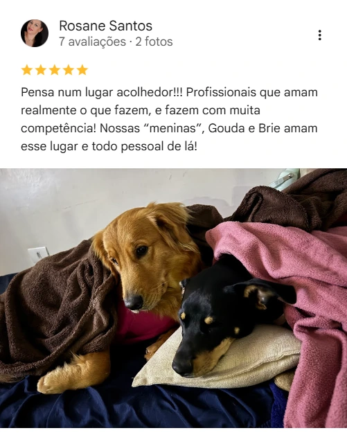 Avaliação real de tutor sobre o Elective
